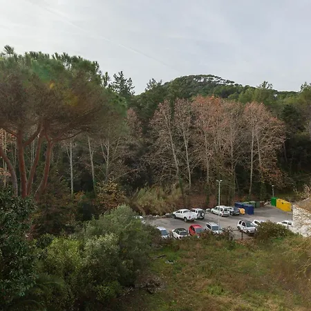 Maresme Natura Sant Iscle De Vallalta